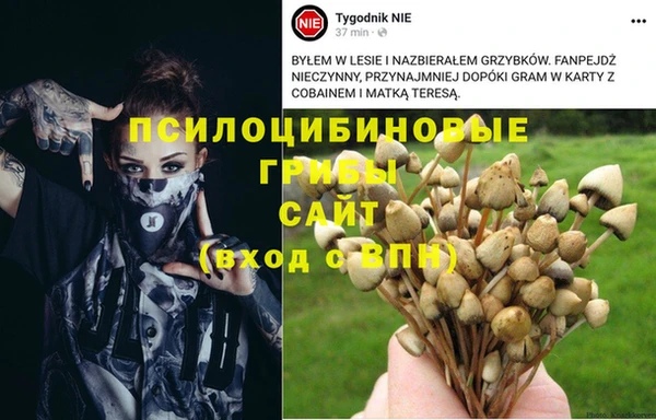 мяу мяу мука Липки