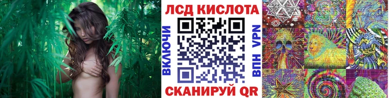 ссылка на мегу онион  Нижняя Тура  Марки N-bome 1,8мг  наркота 